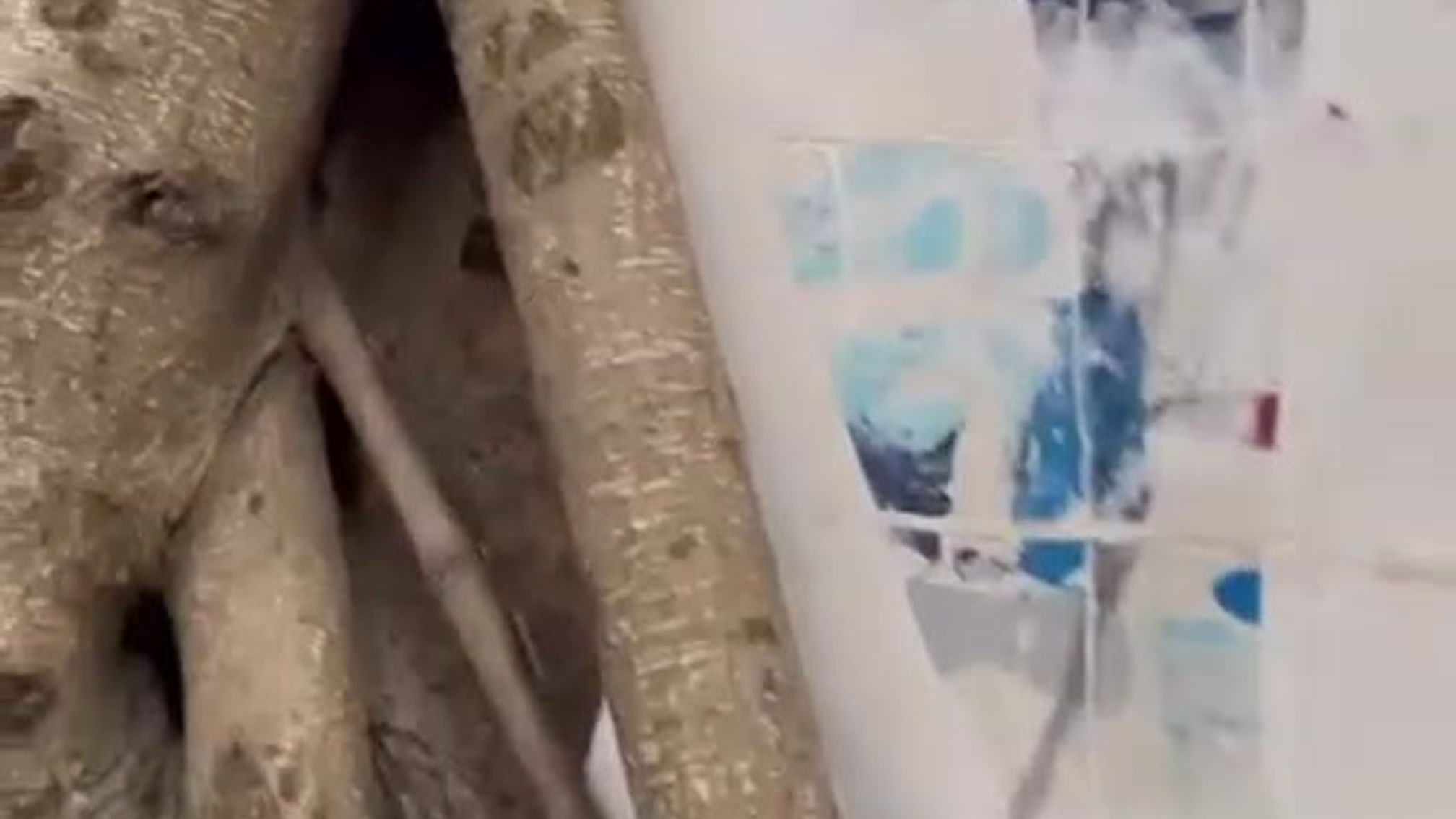 16 Frames from the Sky